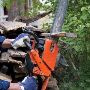 Motofierăstrău pe benzină Stihl MS 180