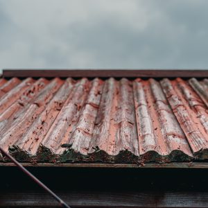 Țiglă metalică Wetterbest Eco 0.45 mm
